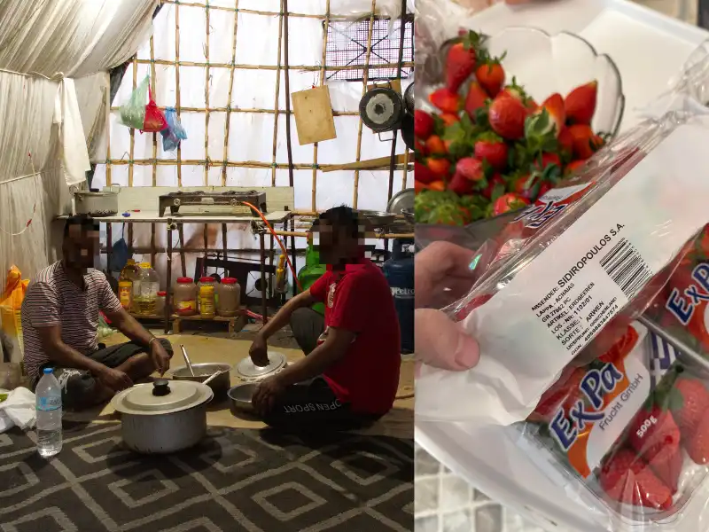 Eine Collage aus zwei Fotos. Das linke Foto zeigt zwei Männer aus Bangladesh, die in einer provisorischen Hütte sitzen. Auf der rechten Seite sind Erdbeeren aus einem deutschen Supermarkt zu sehen. Die Erdbeeren sind in Plastik verpackt. Auf der Verpackung steht "Ursprungsland: GRIECHENLAND".