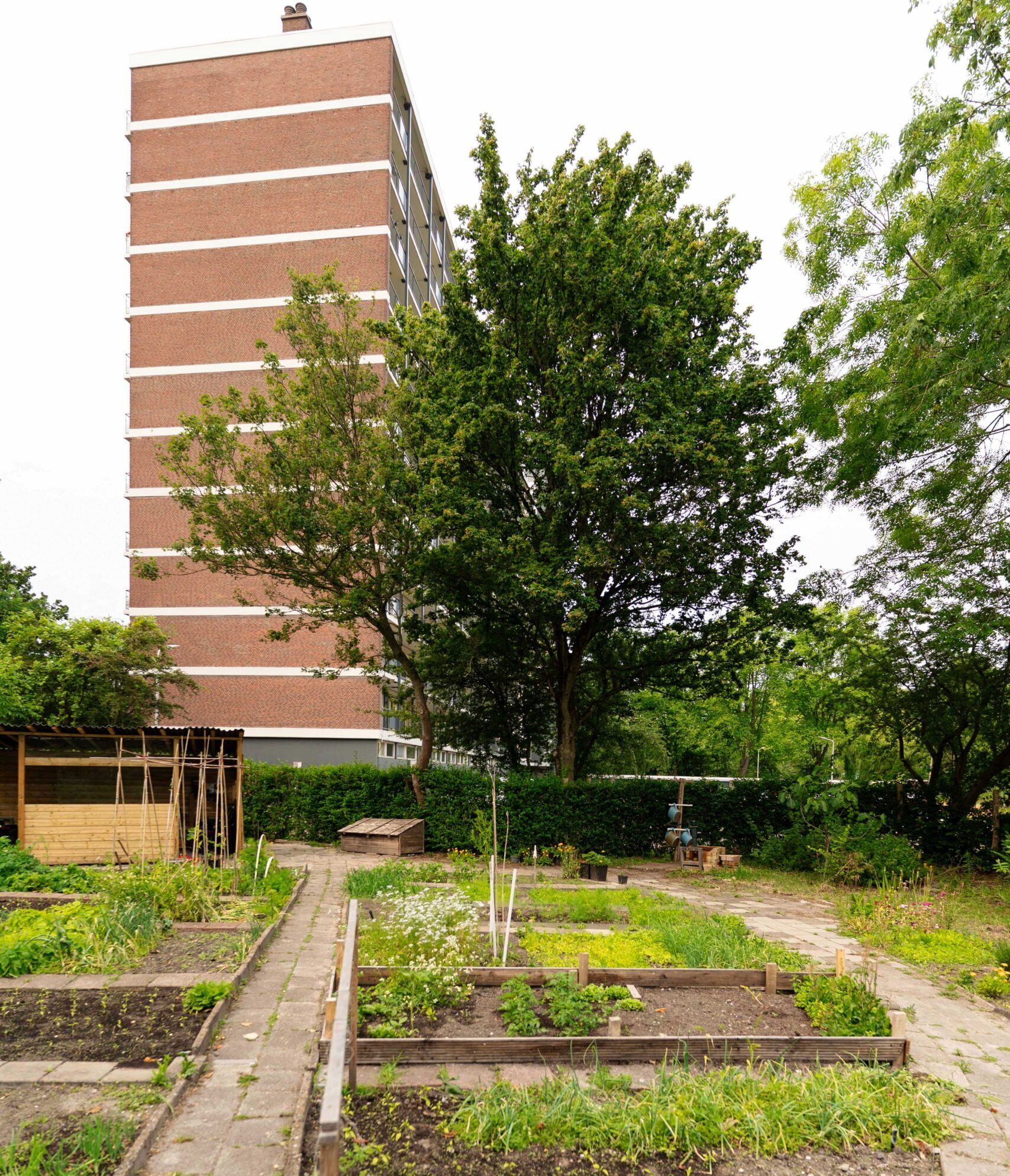 Eine Gartenanlage in einem Wohnviertel in Delft, Niederlande.