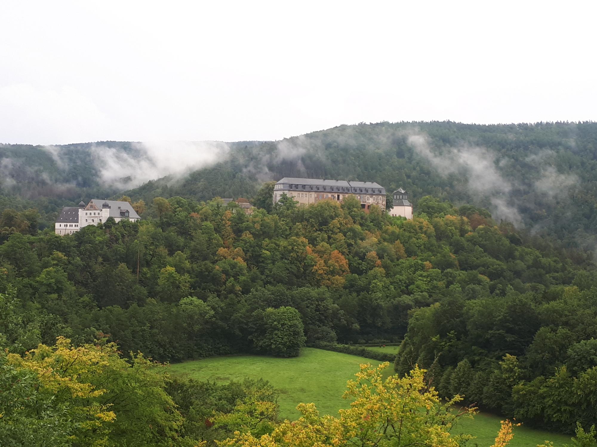 Häuser in einer nebligen grünen Waldlandschaft.
