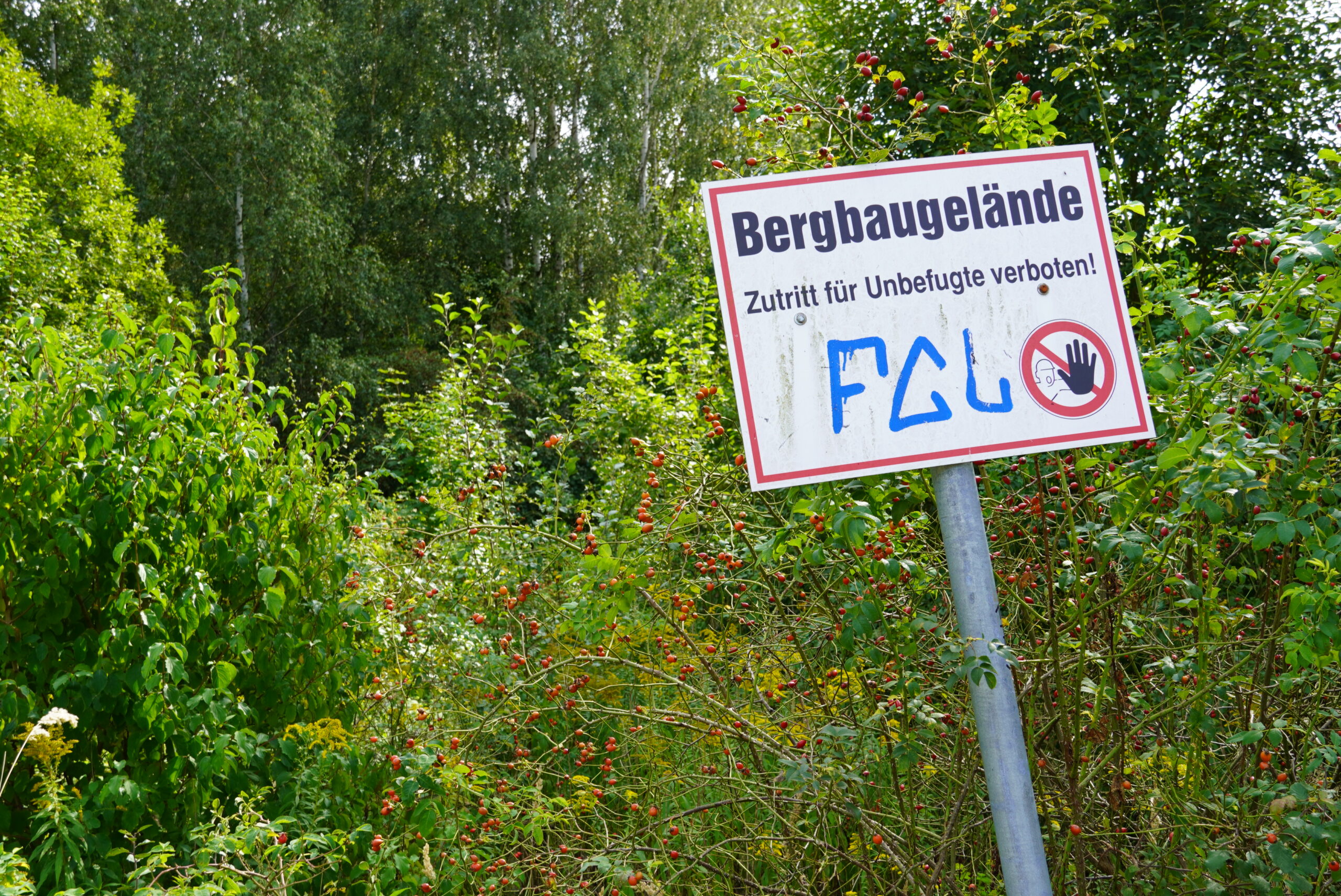 Ein Schild mit der Aufschrift "Bergbaugelände - Zutritt für Unbefugte verboten" steht in mitten einer grünen Landschaft.