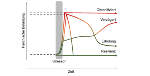 Schematische Darstellung der unterschiedlichen Reaktionsmuster auf Stressoren (nach Galatzer-Levy et al. (2018) und Schäfer et al. (2026). Die y-Achse beschreibt die Schwere der psyhischen Belastung, die x-Achse die Zeit nach einem Stressor. Vier Verlaufsarten werden dargestellt: Chronifiziert, verzögert, Erholung und Resilienz. Die ersten beiden Verläufe sind in rot dargestellt, die letzten beiden in grün.