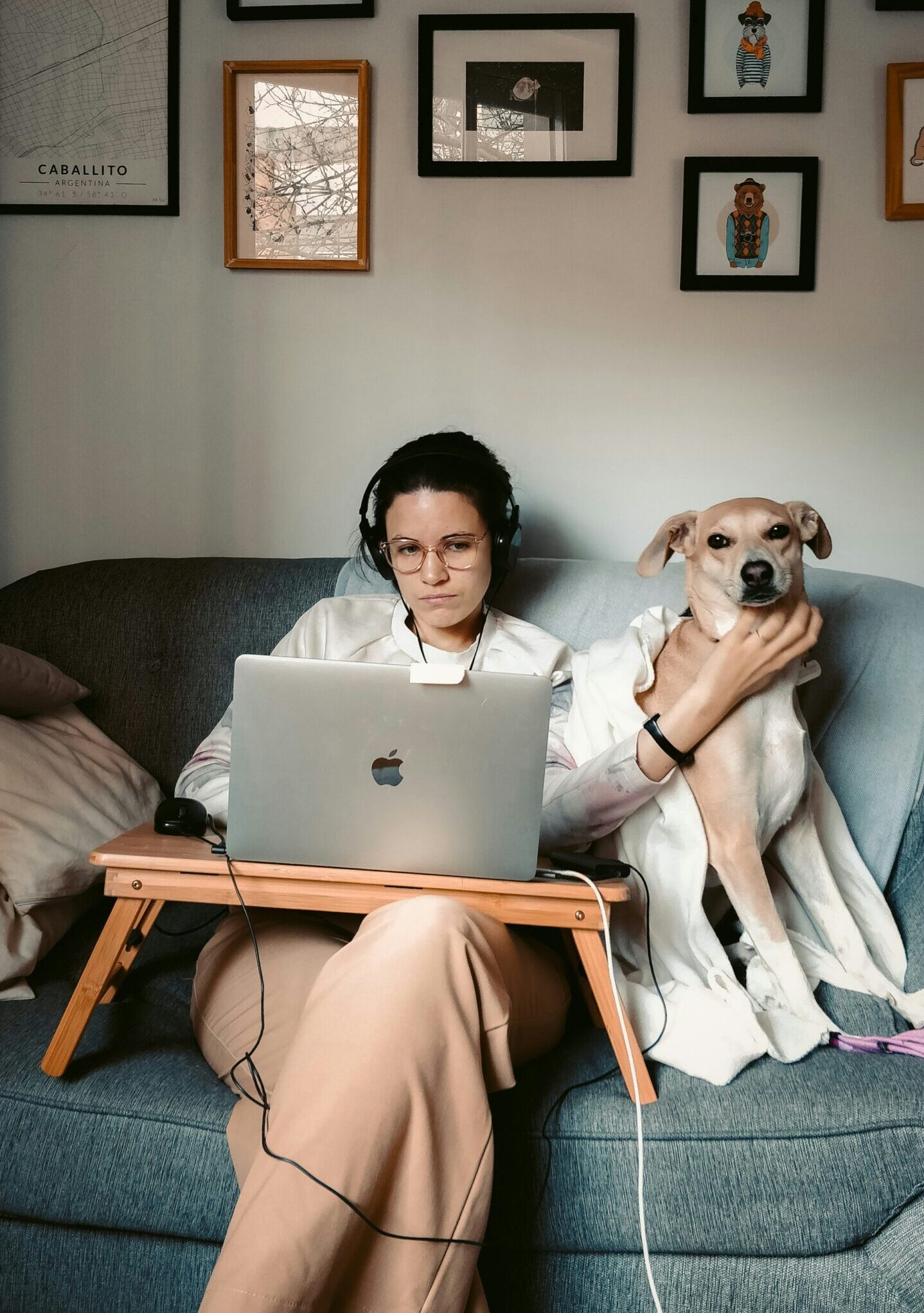 Eine Frau sitzt mit einem Laptop und einem Hund auf einer Couch.