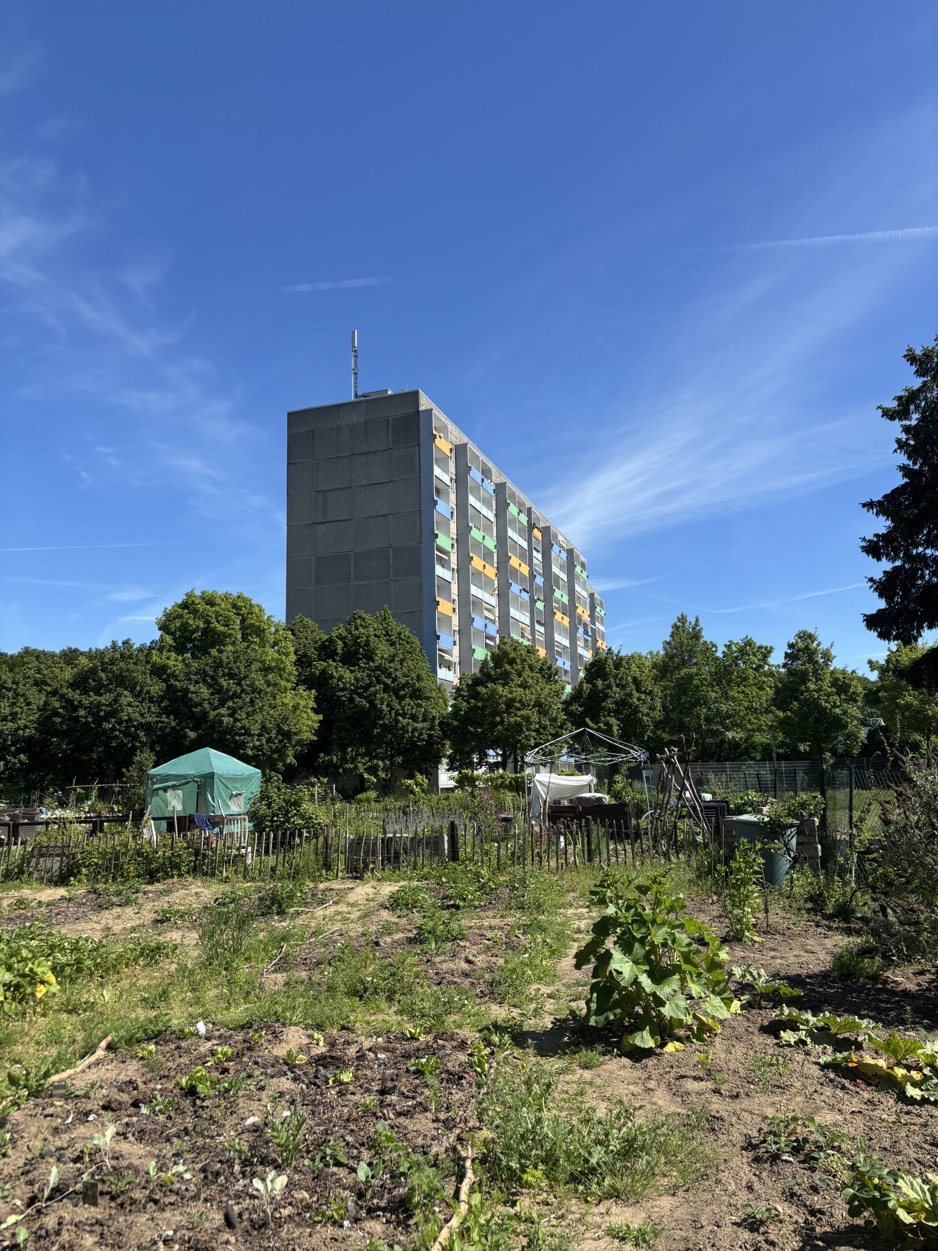 Im Vordergrund ein Garten, ums&auml;umt von B&auml;umen. Aus den B&auml;umen ragt ein Plattenbau hervor vor in den Himmel.